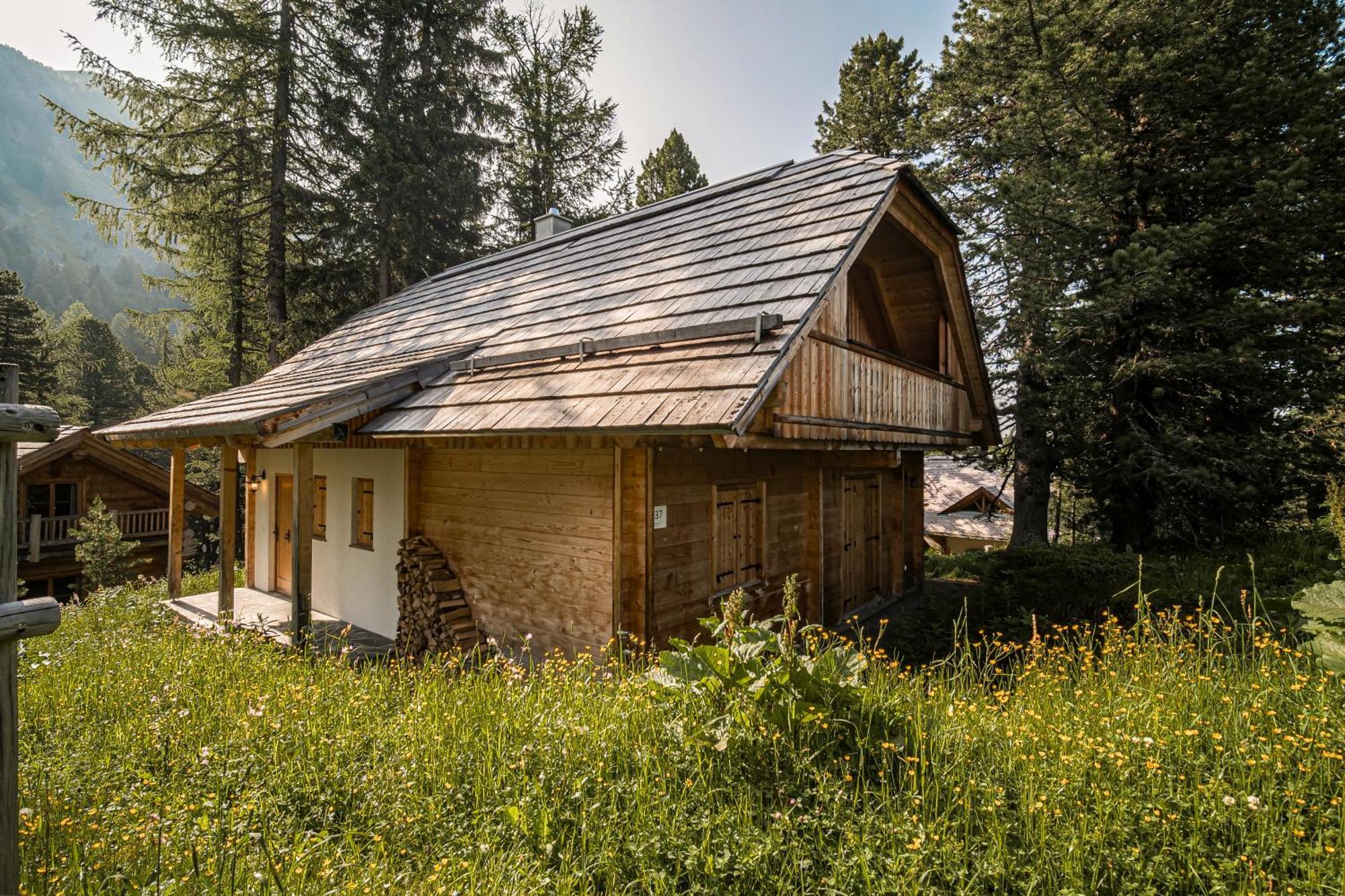 Alpin-Huetten Auf Der Turracherhoehe Haus Murmeltier By S4Y Turracher Hohe 外观 照片