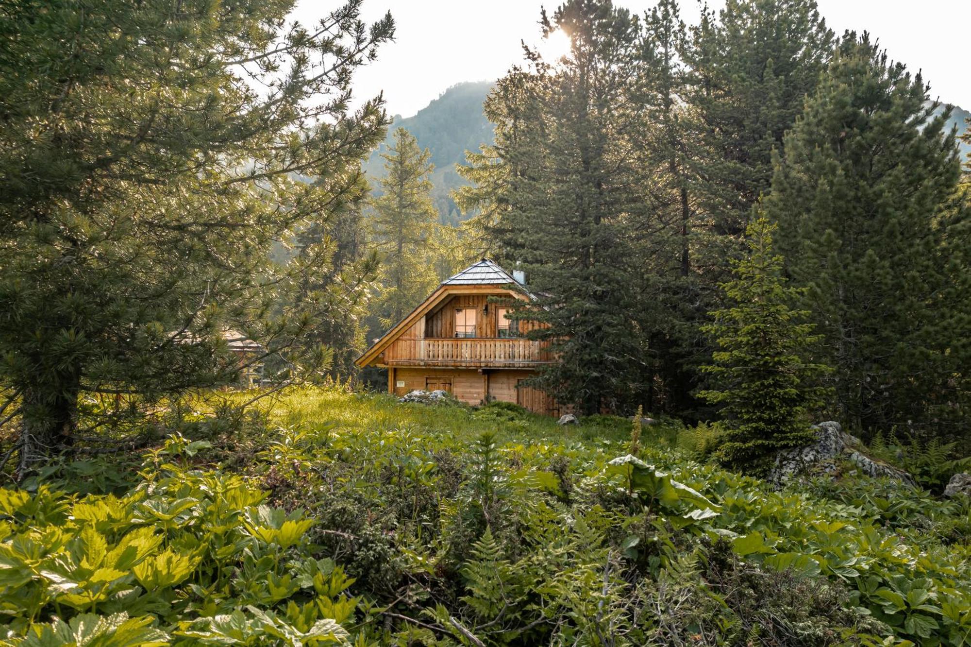 Alpin-Huetten Auf Der Turracherhoehe Haus Murmeltier By S4Y Turracher Hohe 外观 照片