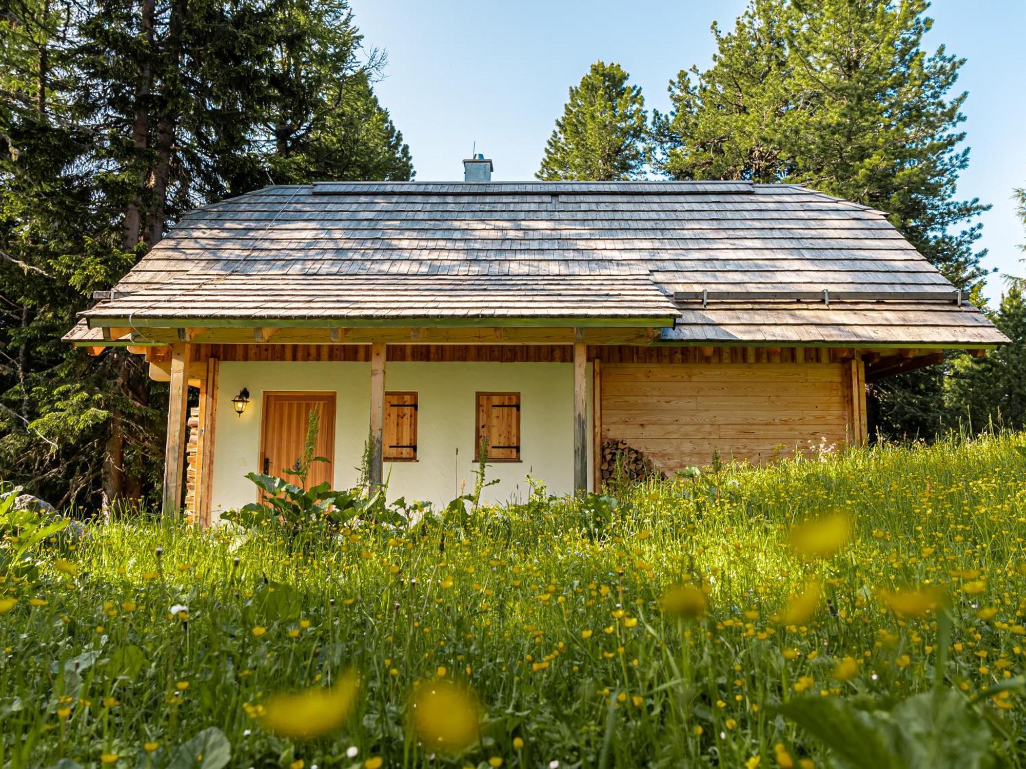 Alpin-Huetten Auf Der Turracherhoehe Haus Murmeltier By S4Y Turracher Hohe 外观 照片